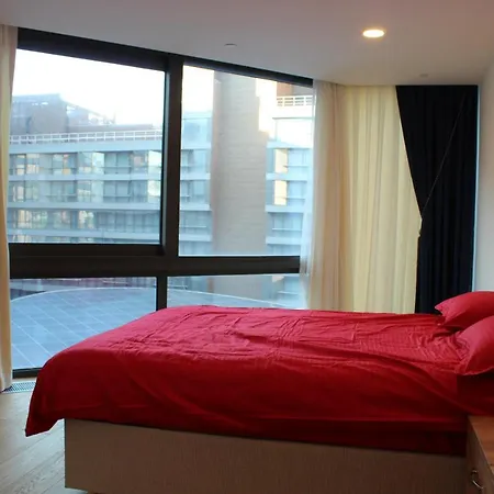 In In A Area Near Bakirkoy Apartment