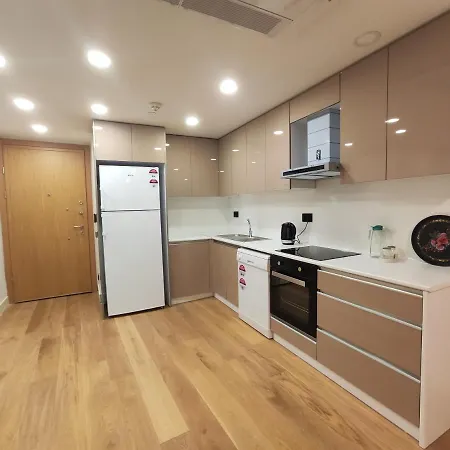 Apartment In In A Area Near Bakirkoy *